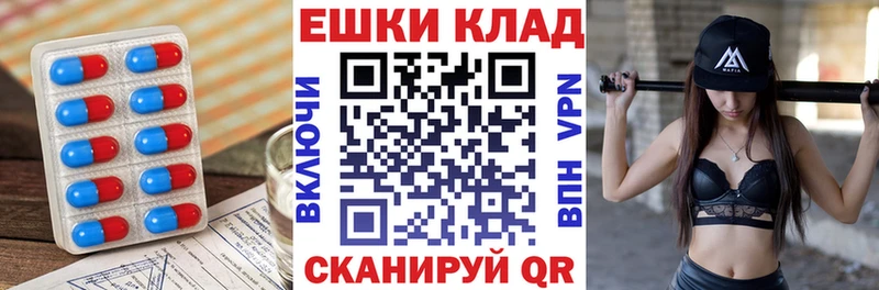 Ecstasy Philipp Plein  Купить  Новоаннинский 