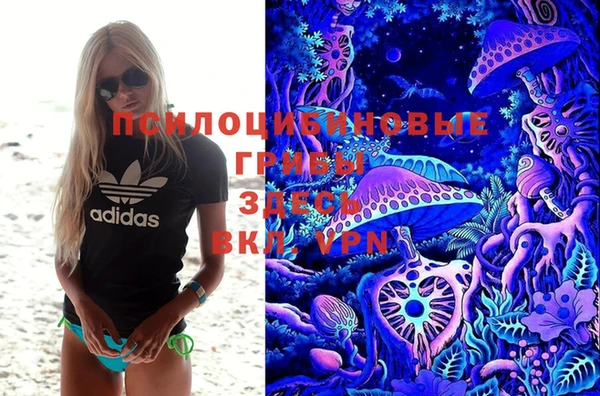 кокс Гусев