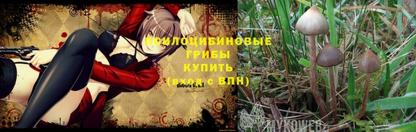 героин Гусь-Хрустальный