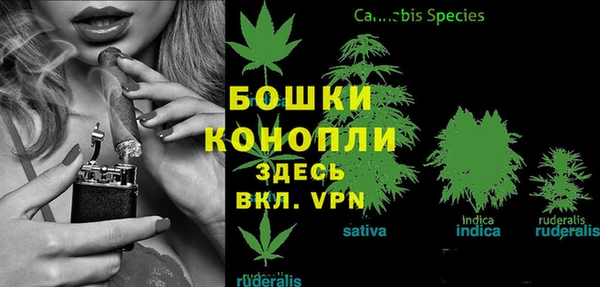 ALPHA PVP Гусиноозёрск
