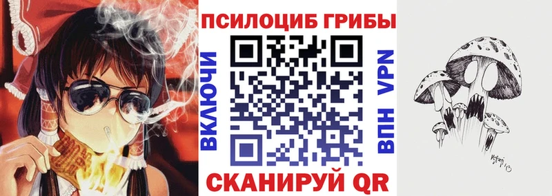 Галлюциногенные грибы мицелий  Купить  Новоаннинский 